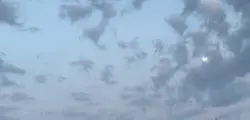 Moonagician Acts