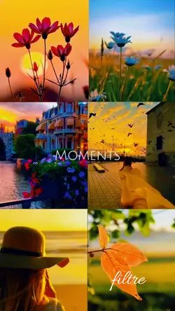 momentos