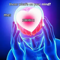 New Viral Template