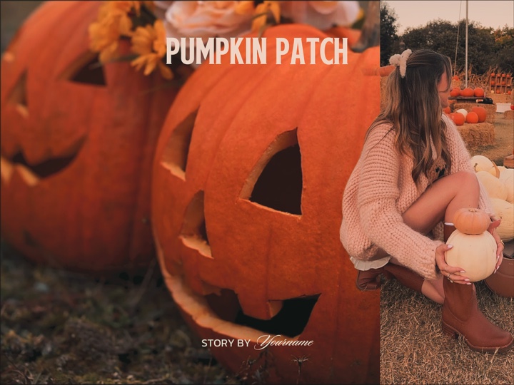 Parche de calabaza 🎃🎃🎃