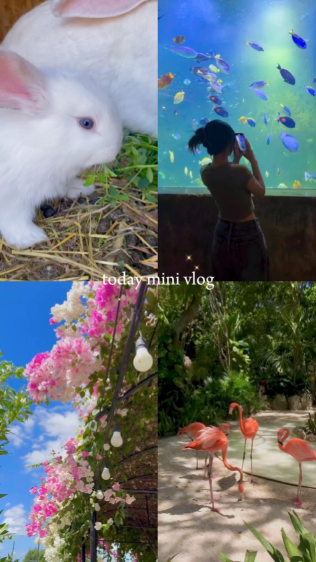 today mini vlog 