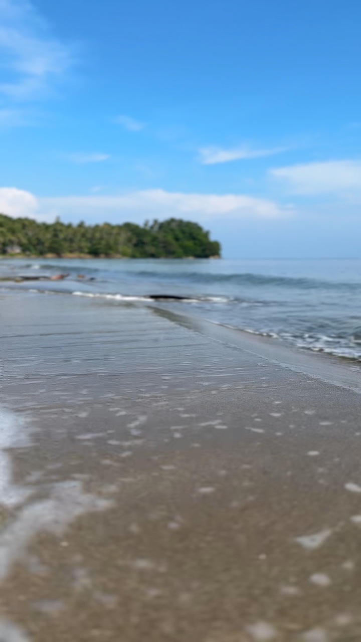 Beach Template