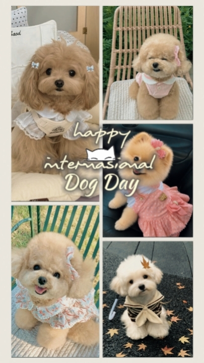 Dog Day 