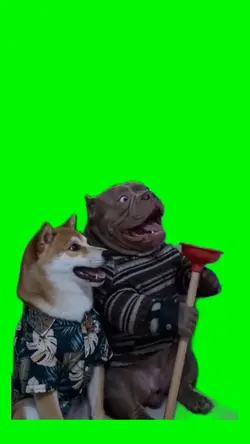 Perro / Dog meme 
