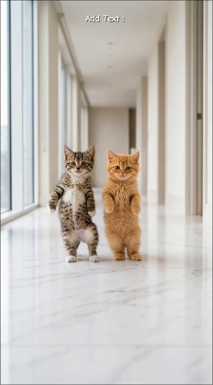 Tanz-Katzen-Trend. 