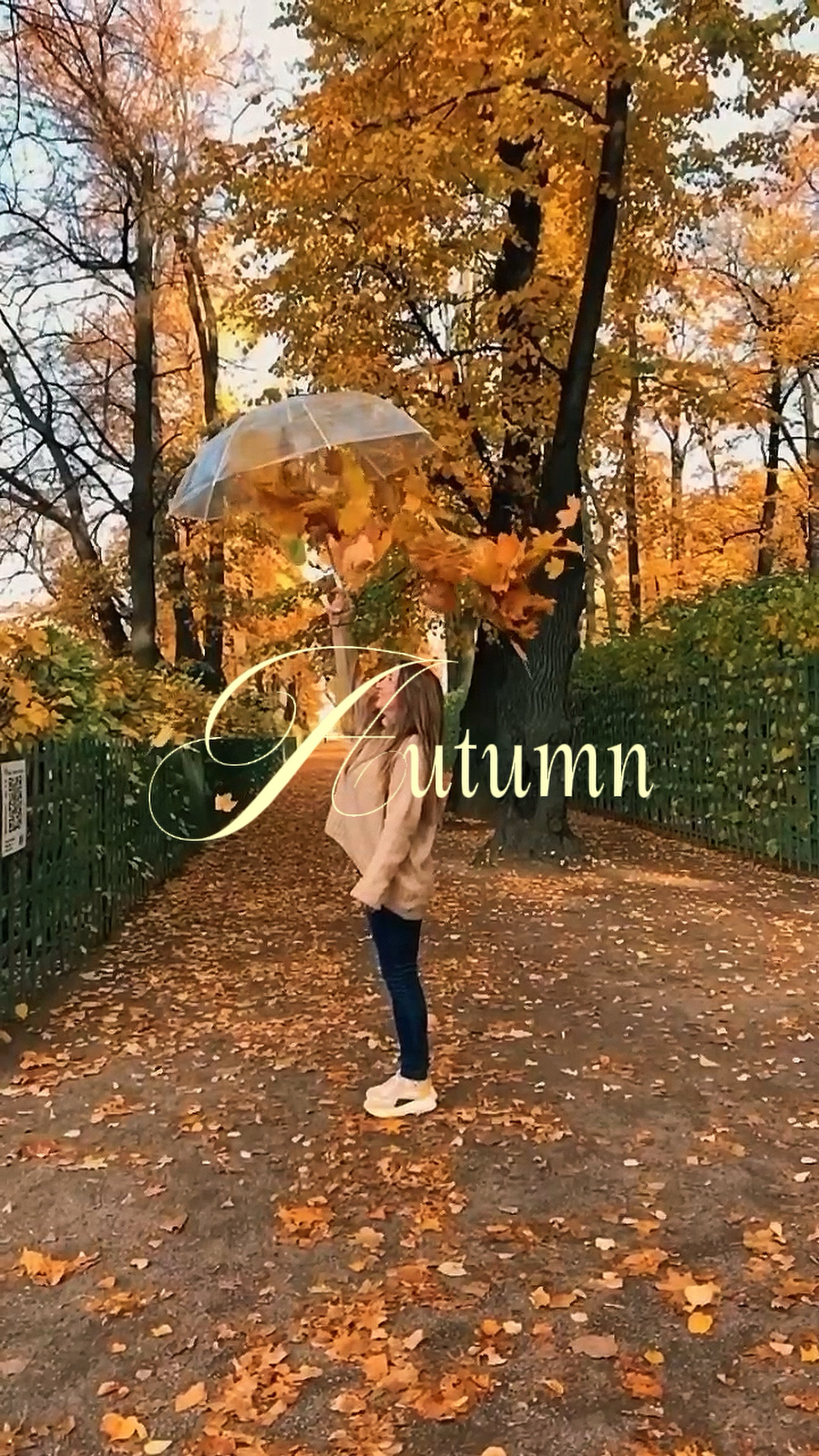 autumn 2026