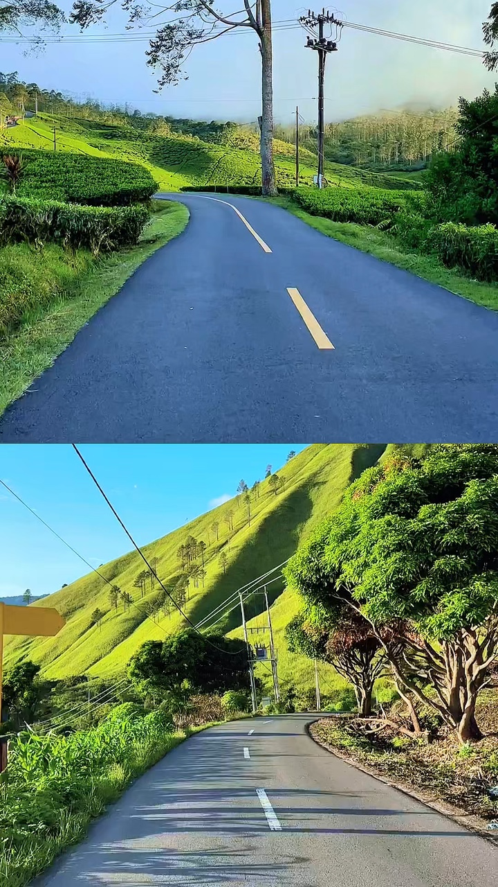 2 video collage