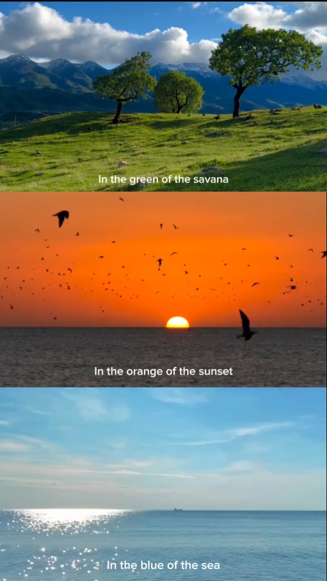3 grid nature