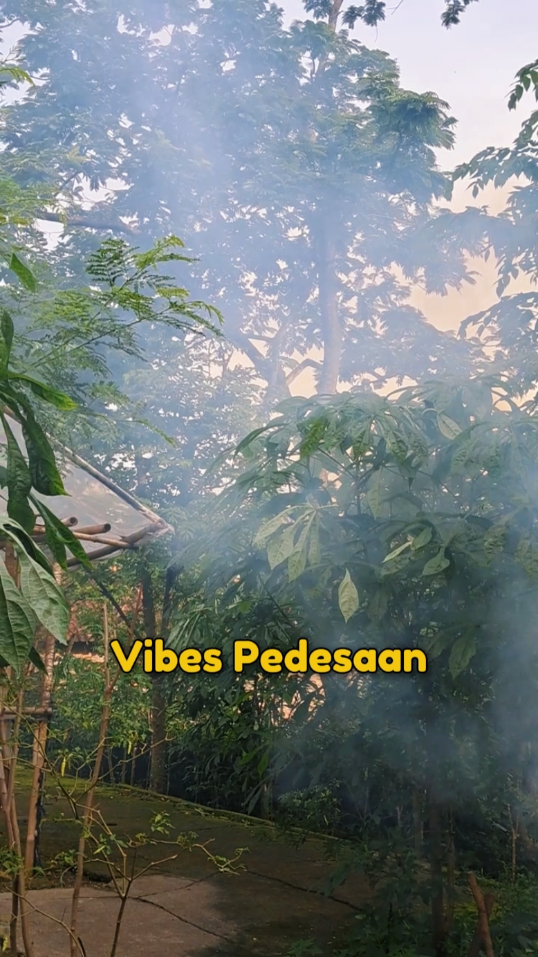 Vibras pedesaan