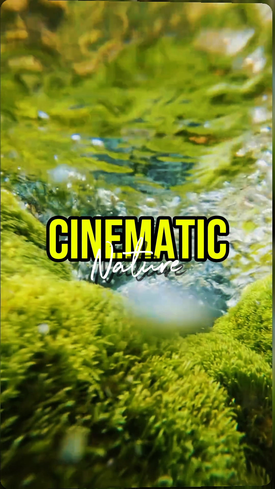 DOĞA SİNEMATİK