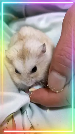 自由に使ってください