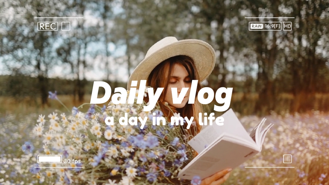 INTRODUÇÃO DIÁRIA DO VLOG