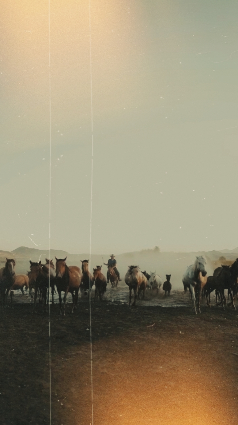Vibraciones de vaquero