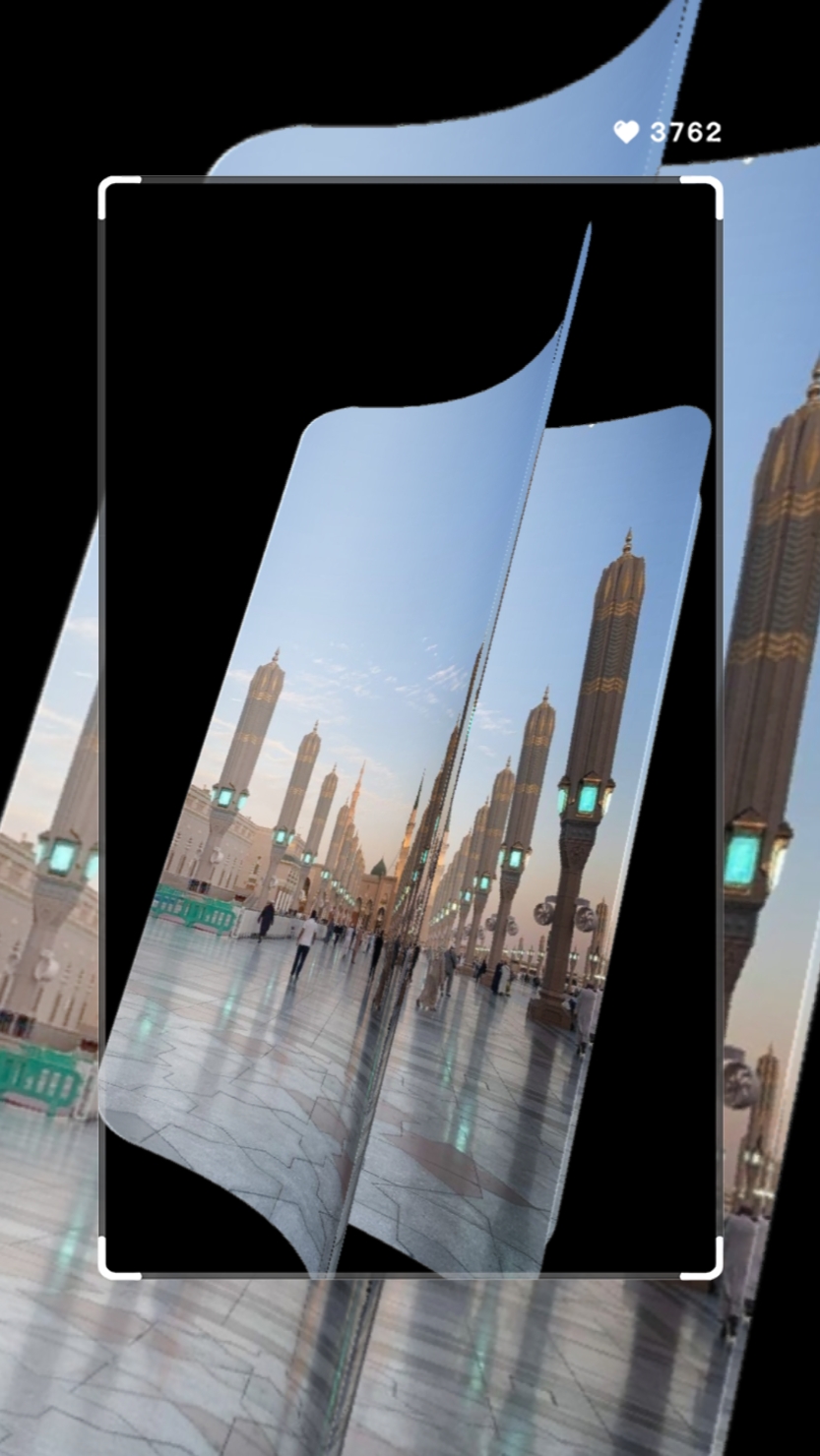 Qalbi fil madina