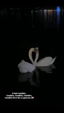 Tombée love