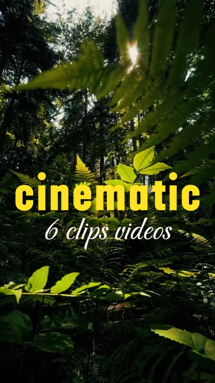 6 clips vidéos