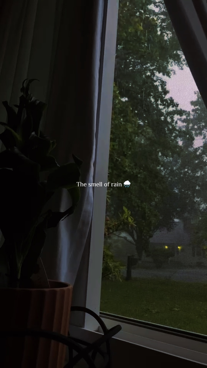 Aroma hujan 🌧️