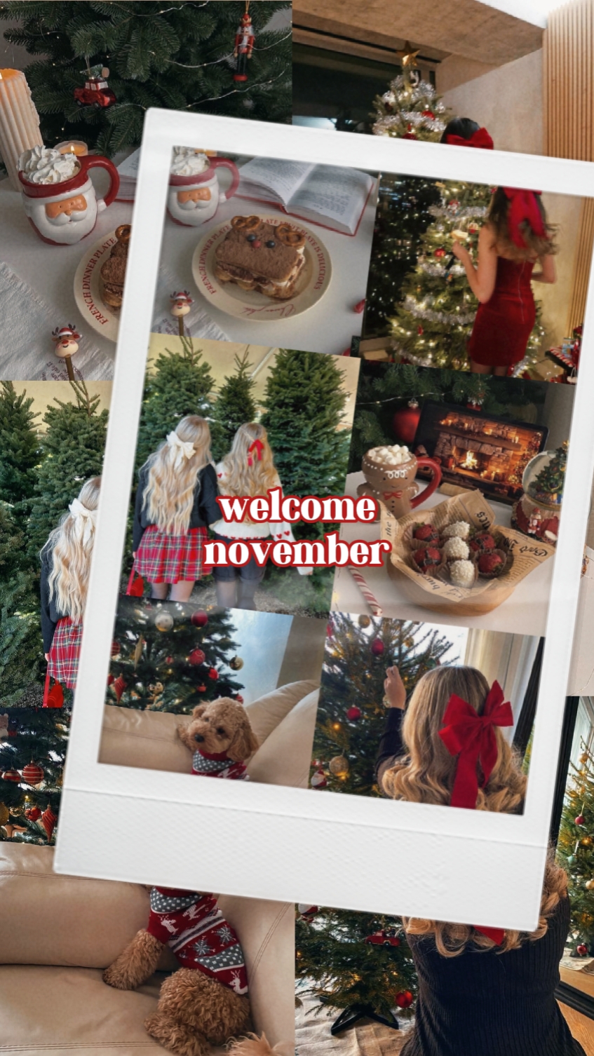 Christmas Transition