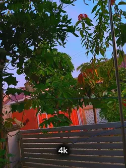 144p vs 4k
