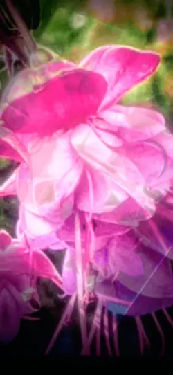 Flower Puzzle