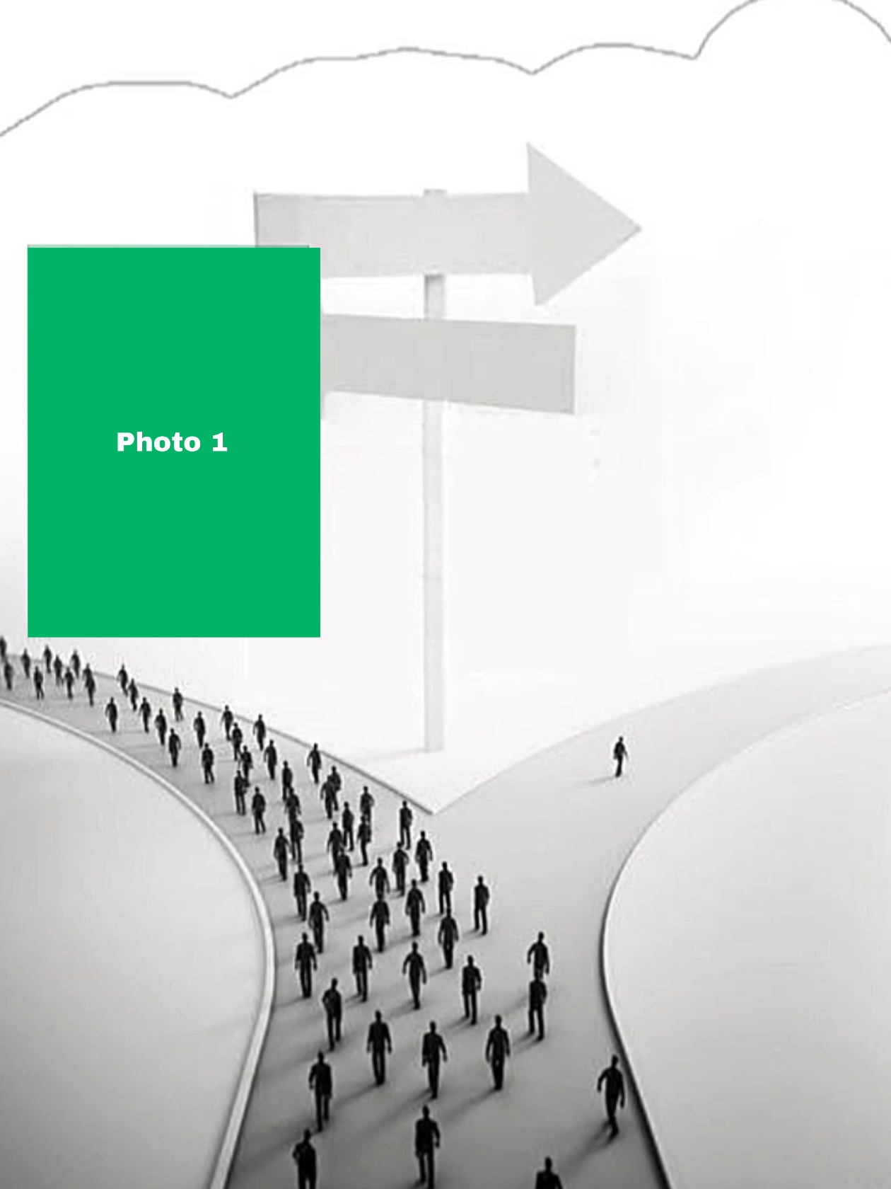 트론딩 새로운 EDLT