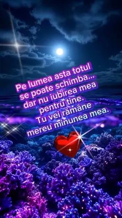Totul Meu.