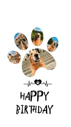 Birthday my dog