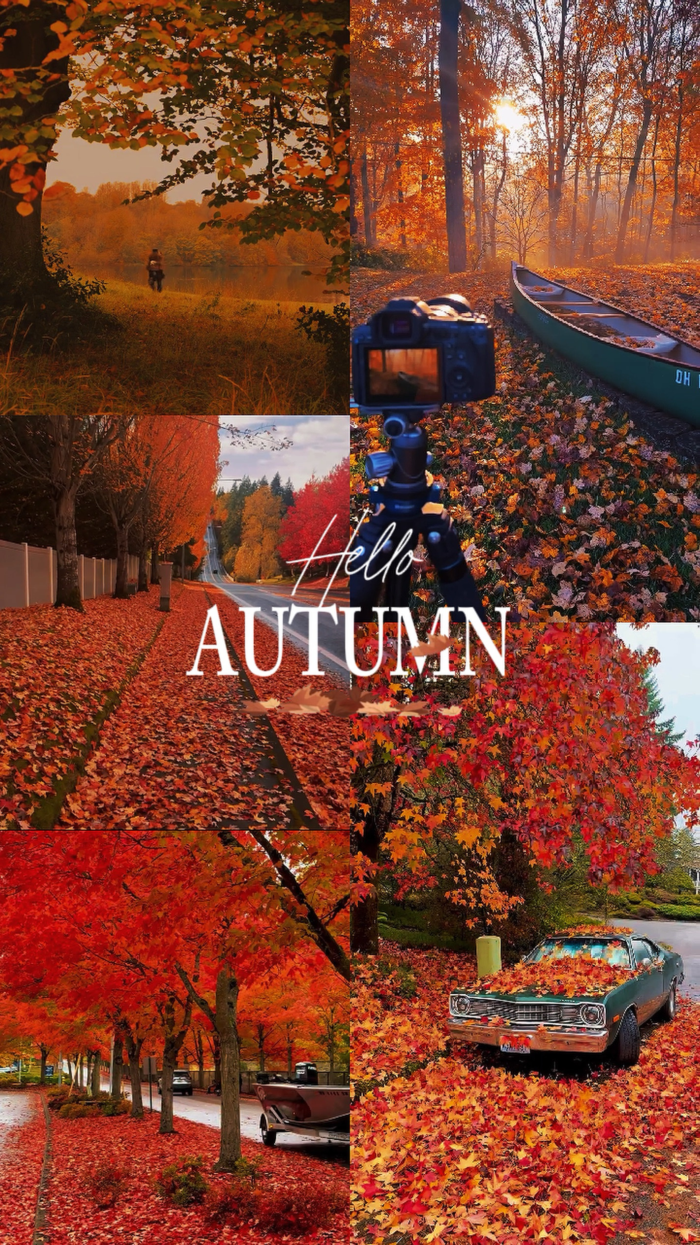 Hello Autumn 