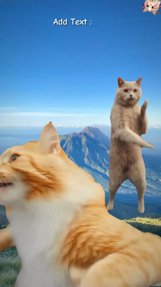 Tendencia del gato.