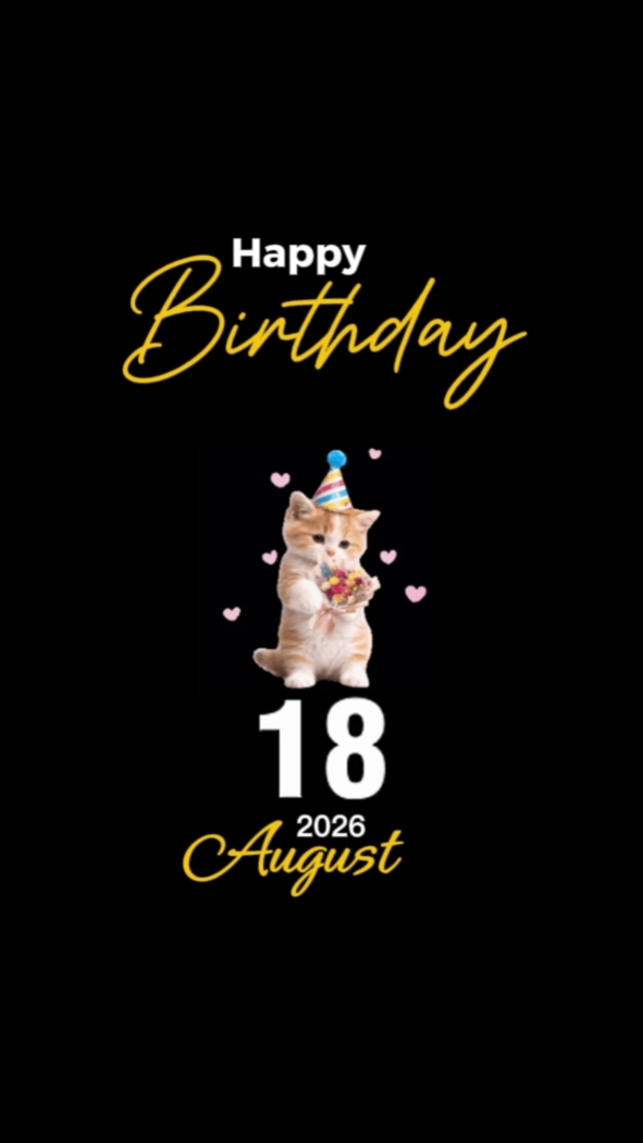 Aniversário Gato