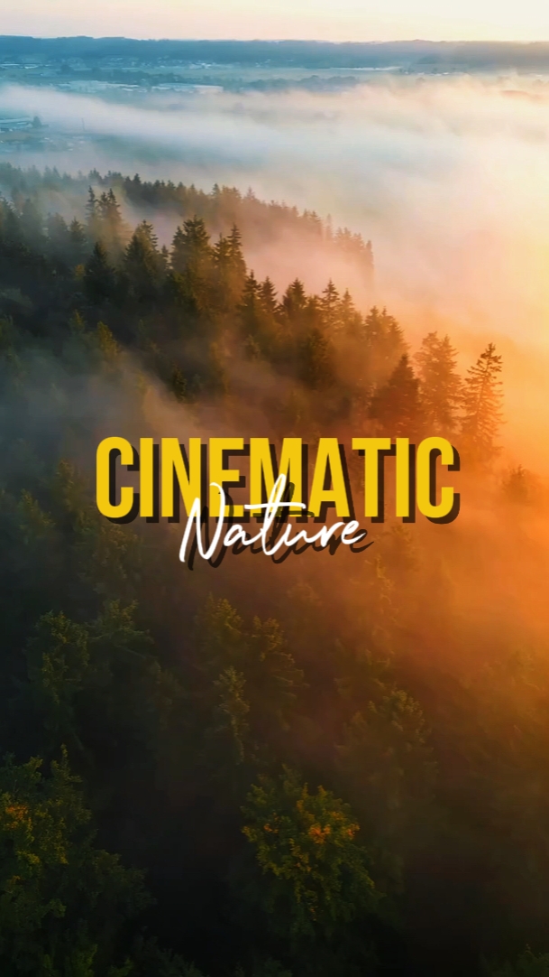 CINEMATIC NATURE