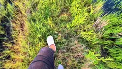 video 0.5