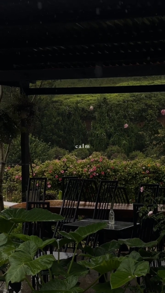 calm