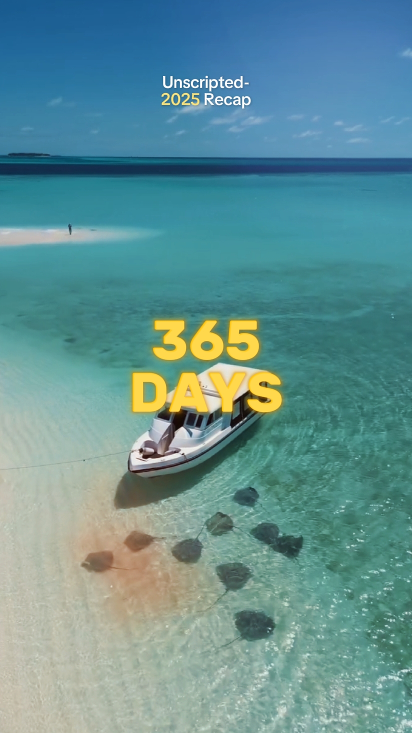 365 Days in 2025