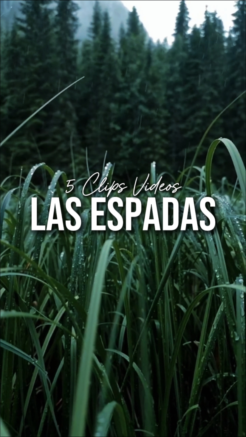 5 Clips de videos