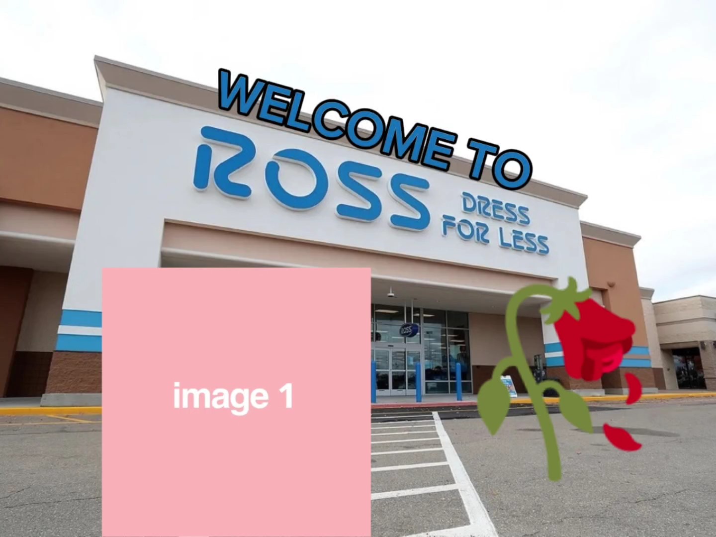 NEW TREND TEMPLATE