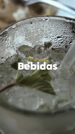 Bebidas | Drinks