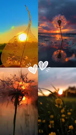 beutiful moment
