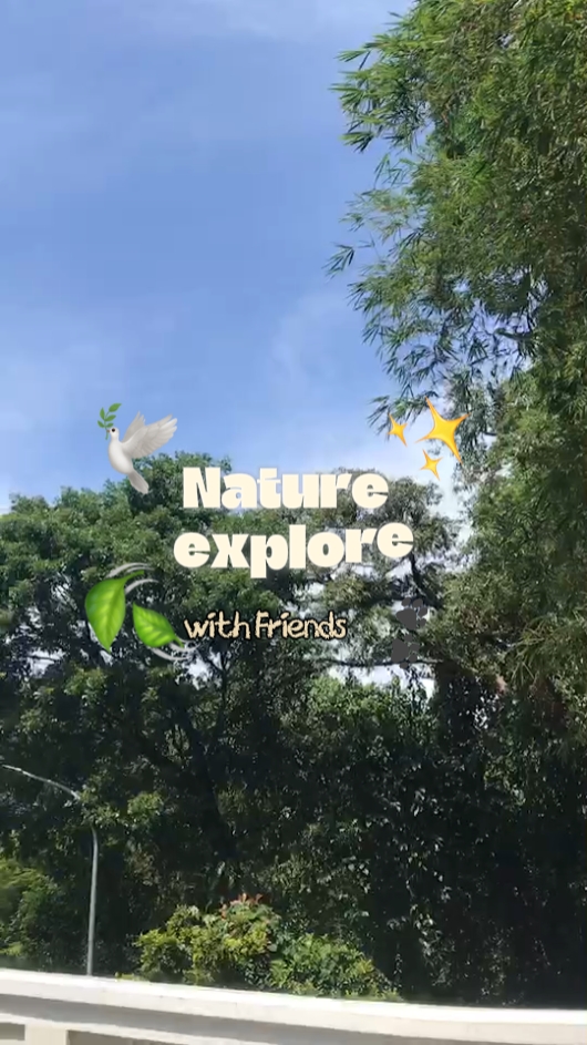 membuka vlog tiktok 