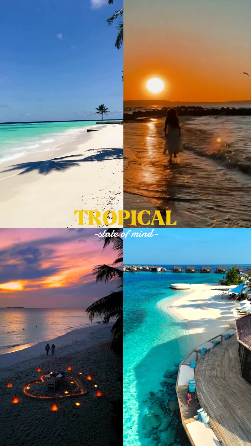 État tropical de 