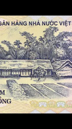 Luật đời 