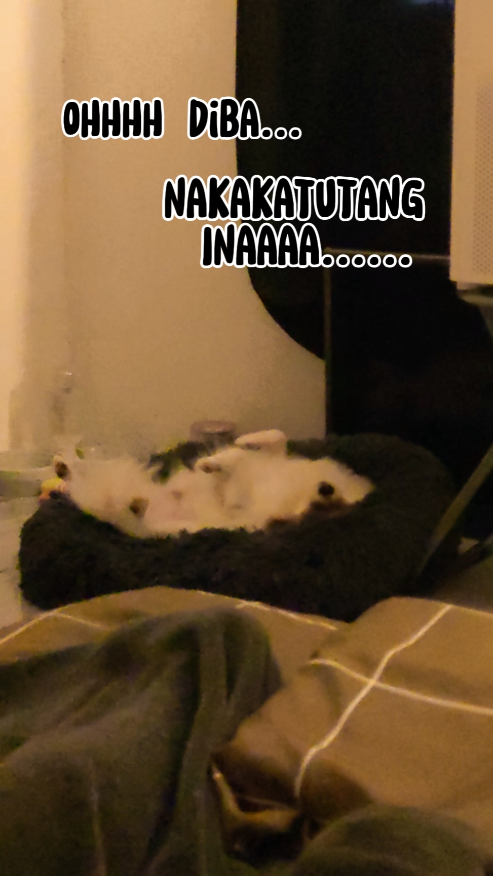 Ako 'y natutulog 