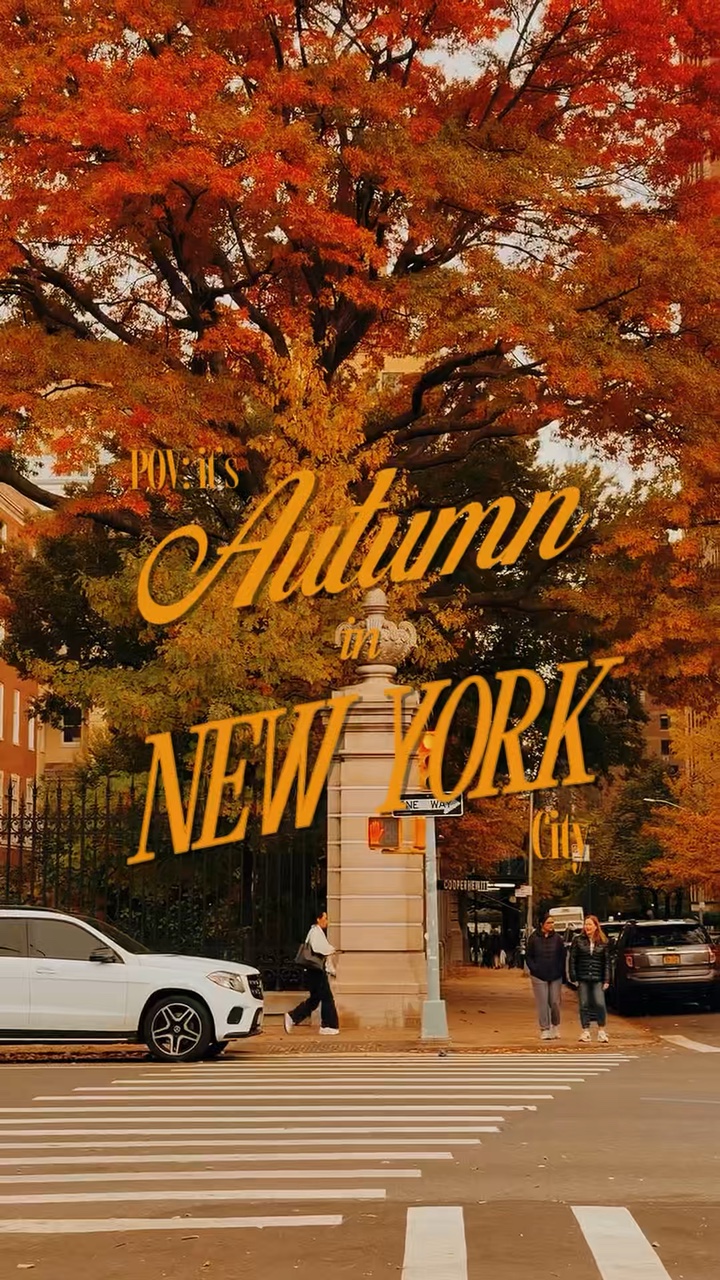 Fall Autumn 