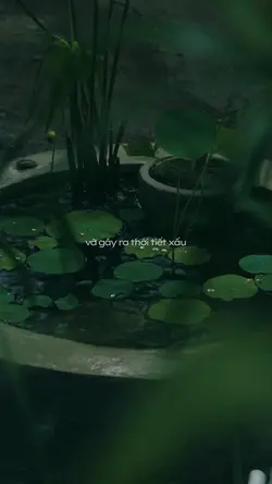 Không khí lạnh mạnh