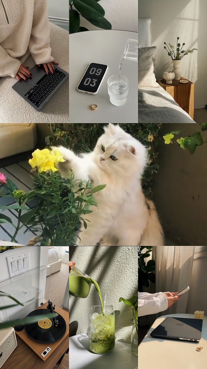 그리드 7 클립