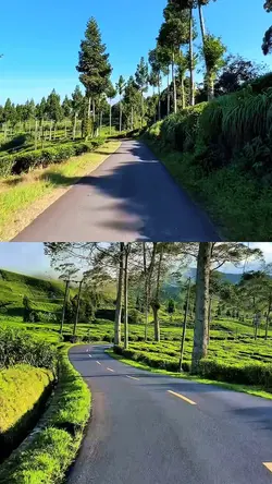 2 video collage