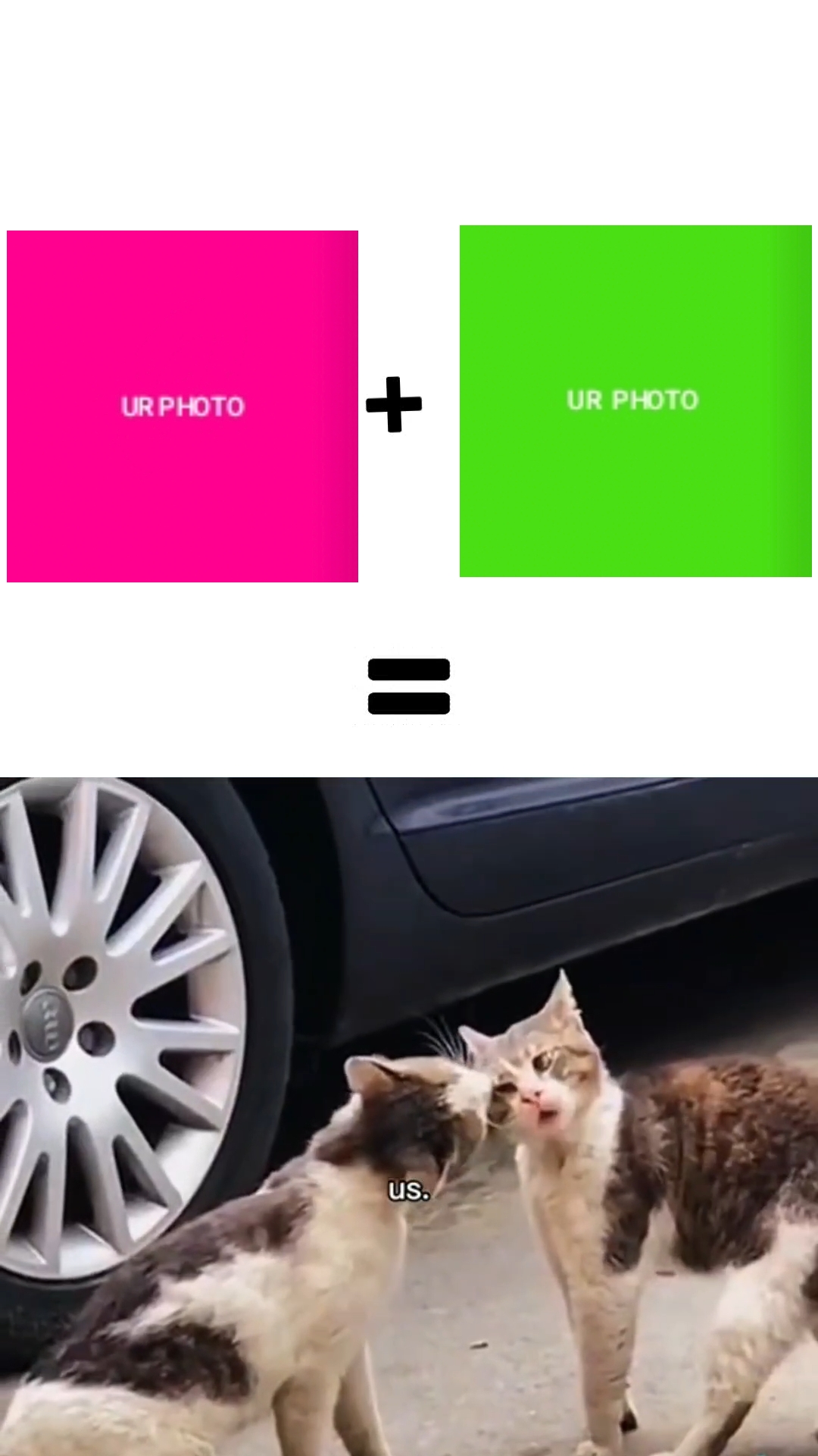 new viral template