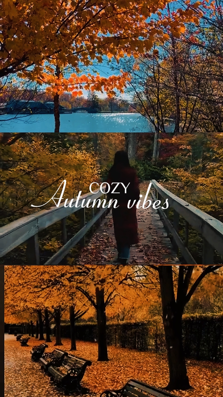 cozy autumn vibes 