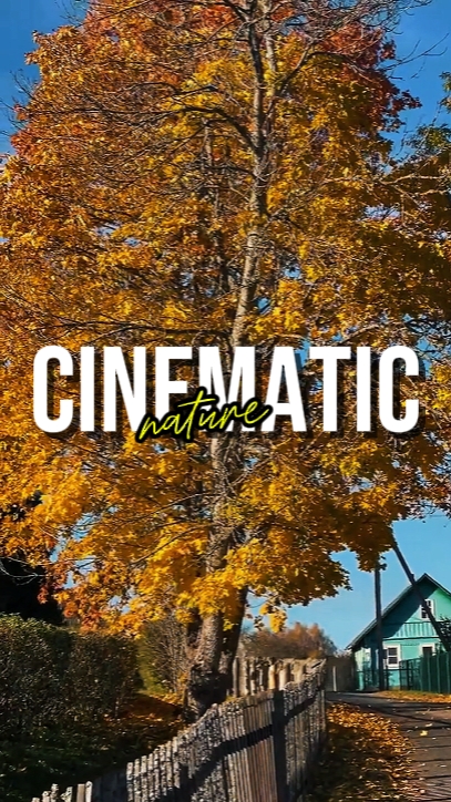 NATURE CINÉMATIQUE
