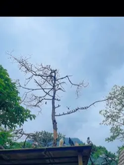 Phong cảnh đẹp